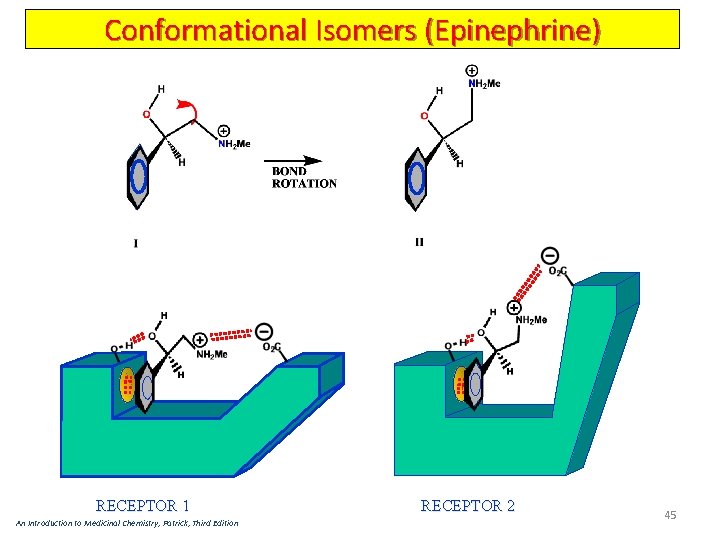 Conformational Isomers (Epinephrine) RECEPTOR 1 An Introduction to Medicinal Chemistry, Patrick, Third Edition RECEPTOR