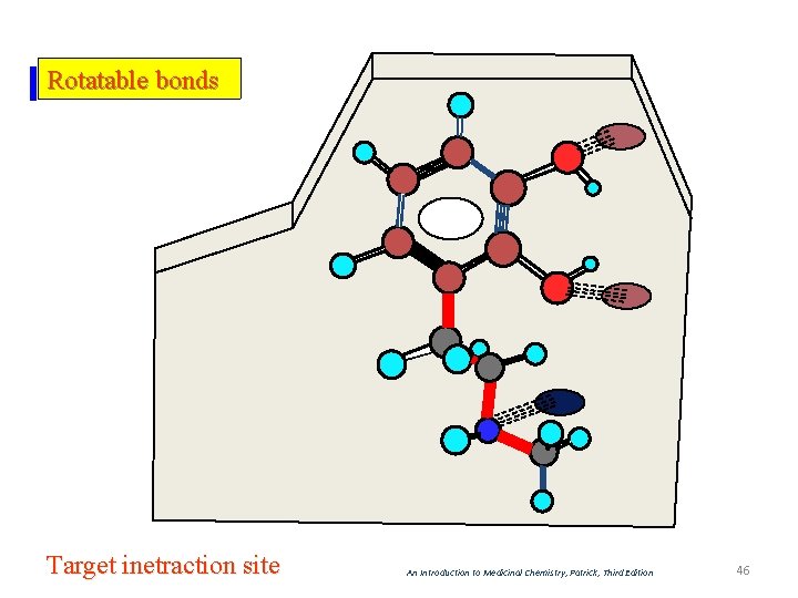 Rotatable bonds Target inetraction site An Introduction to Medicinal Chemistry, Patrick, Third Edition 46