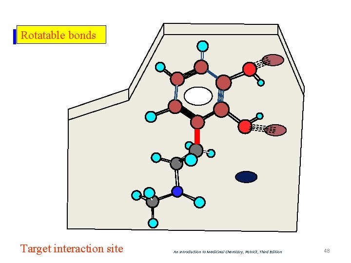 Rotatable bonds Target interaction site An Introduction to Medicinal Chemistry, Patrick, Third Edition 48