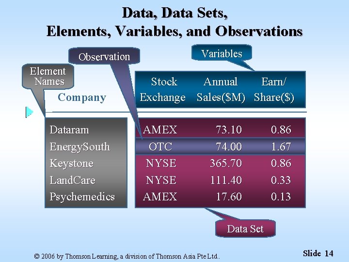 Data, Data Sets, Elements, Variables, and Observations Variables Observation Element Names Company Dataram Energy.