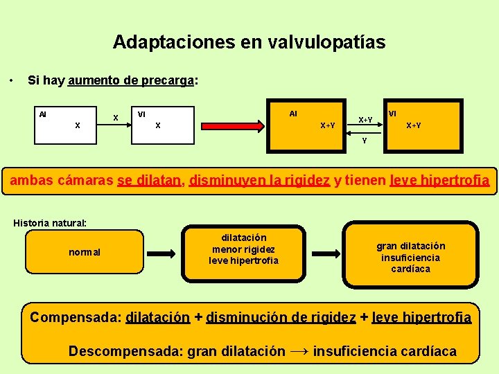 Adaptaciones en valvulopatías • Si hay aumento de precarga: AI X X AI VI