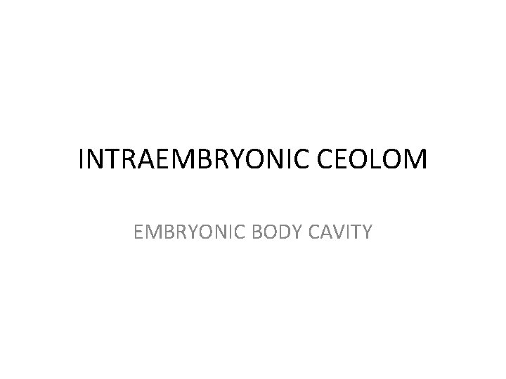 INTRAEMBRYONIC CEOLOM EMBRYONIC BODY CAVITY 