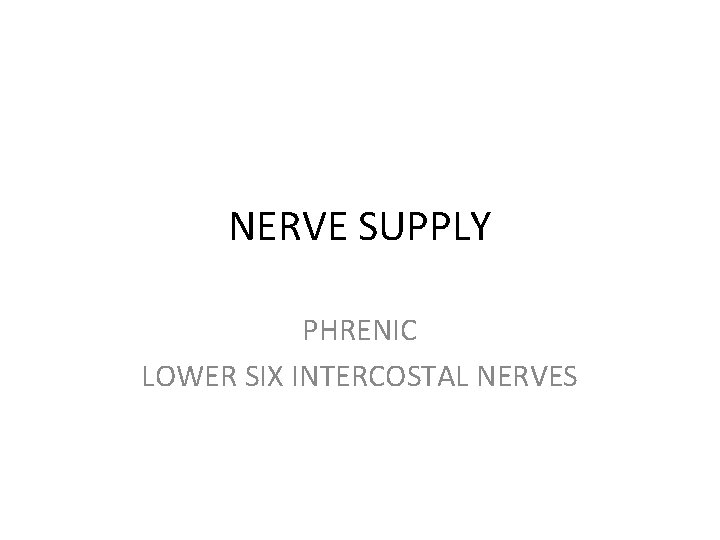 NERVE SUPPLY PHRENIC LOWER SIX INTERCOSTAL NERVES 