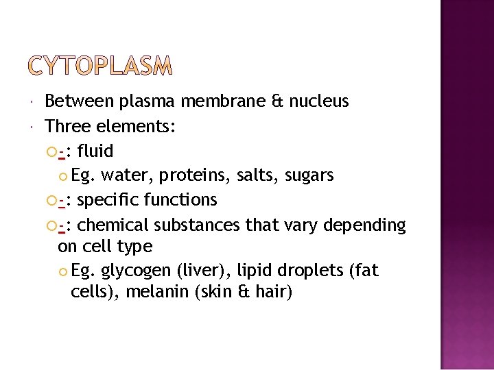  Between plasma membrane & nucleus Three elements: -: fluid Eg. water, proteins, salts,