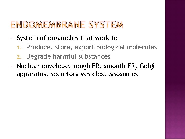  System of organelles that work to 1. Produce, store, export biological molecules 2.