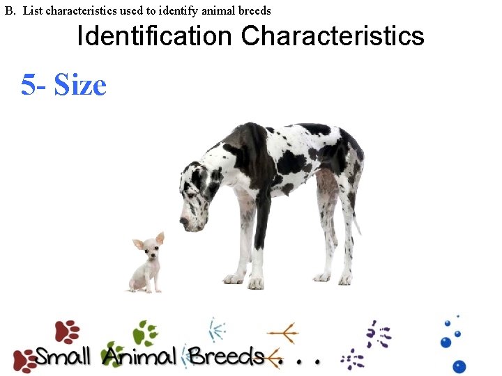 B. List characteristics used to identify animal breeds Identification Characteristics 5 - Size 