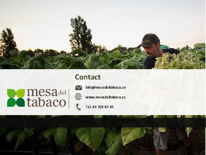 Contact info@mesadeltabaco. es www. mesadeltabaco. es Tel. 91 702 47 65 