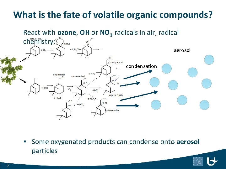 What is the fate of volatile organic compounds? React with ozone, OH or NO