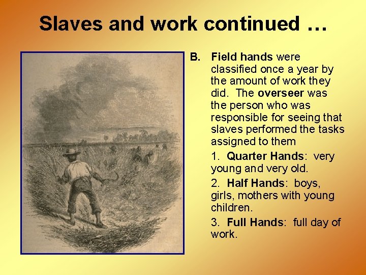 Slaves and work continued … B. Field hands were classified once a year by