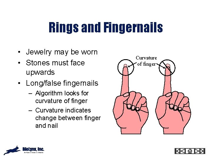 Rings and Fingernails • Jewelry may be worn • Stones must face upwards •