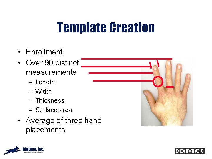 Template Creation • Enrollment • Over 90 distinct measurements – – Length Width Thickness