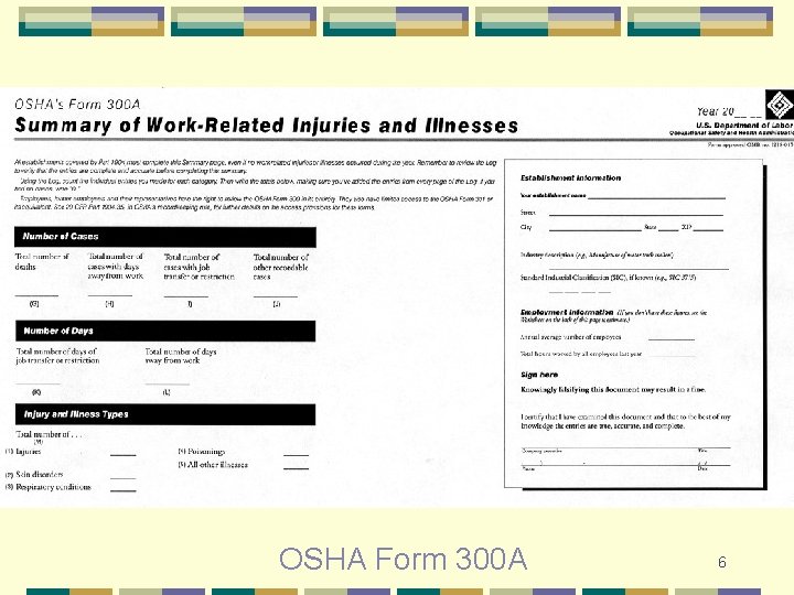 OSHA Form 300 A 6 