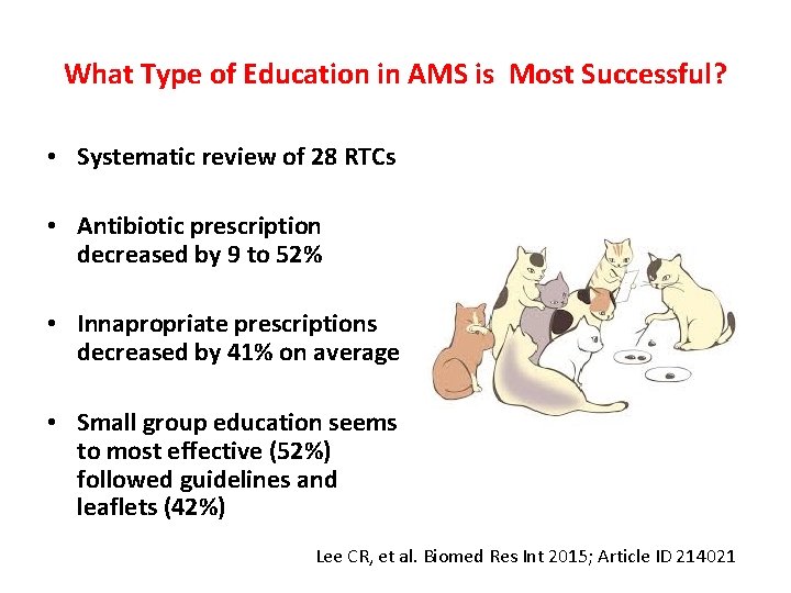 What Type of Education in AMS is Most Successful? • Systematic review of 28