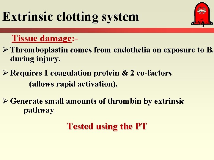 Extrinsic clotting system Tissue damage: Ø Thromboplastin comes from endothelia on exposure to B.
