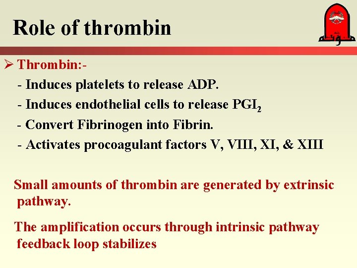 Role of thrombin Ø Thrombin: - Induces platelets to release ADP. - Induces endothelial
