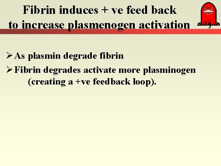 Fibrin induces + ve feed back to increase plasmenogen activation Ø As plasmin degrade