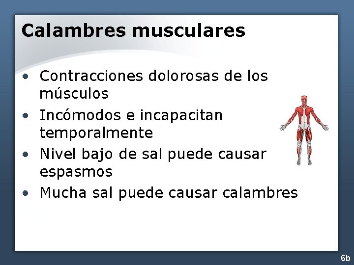 Calambres musculares • Contracciones dolorosas de los músculos • Incómodos e incapacitan temporalmente •