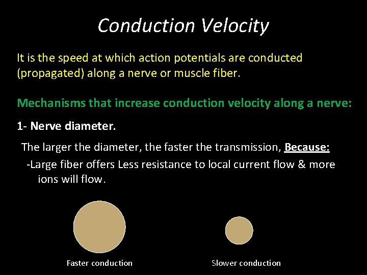 Conduction Velocity It is the speed at which action potentials are conducted (propagated) along