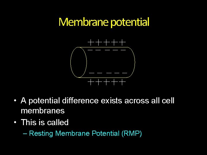 Membrane potential • A potential difference exists across all cell membranes • This is