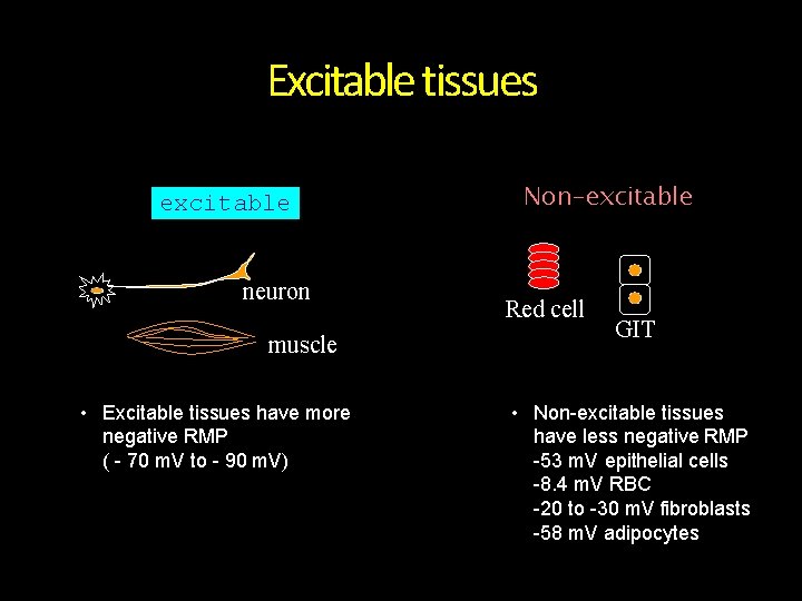 Excitable tissues excitable neuron muscle • Excitable tissues have more negative RMP ( -