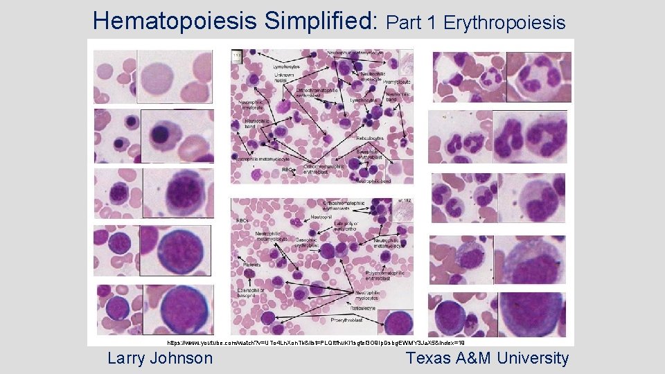 Hematopoiesis Simplified: Part 1 Erythropoiesis https: //www. youtube. com/watch? v=UTo 4 Ln. Xon. Tk&list=PLQltfhu.
