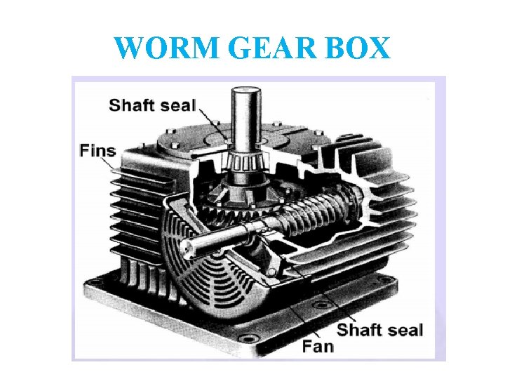 WORM GEAR BOX 