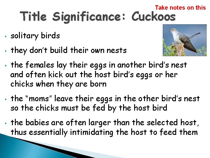 Take notes on this Title Significance: Cuckoos • solitary birds • they don’t build