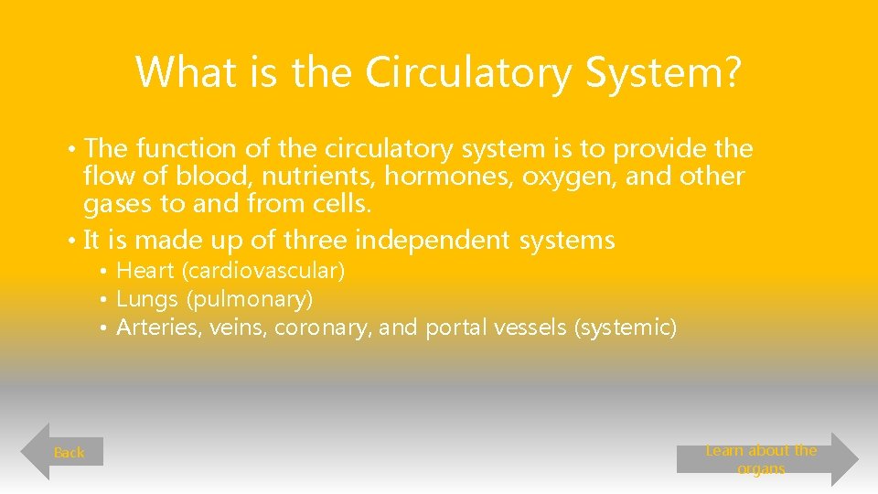 What is the Circulatory System? • The function of the circulatory system is to