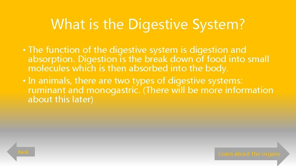 What is the Digestive System? • The function of the digestive system is digestion