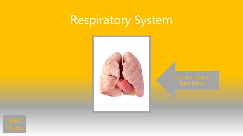 Respiratory System Click the lungs to learn more! Main Menu 