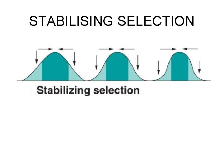 STABILISING SELECTION 