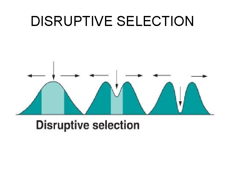 DISRUPTIVE SELECTION 