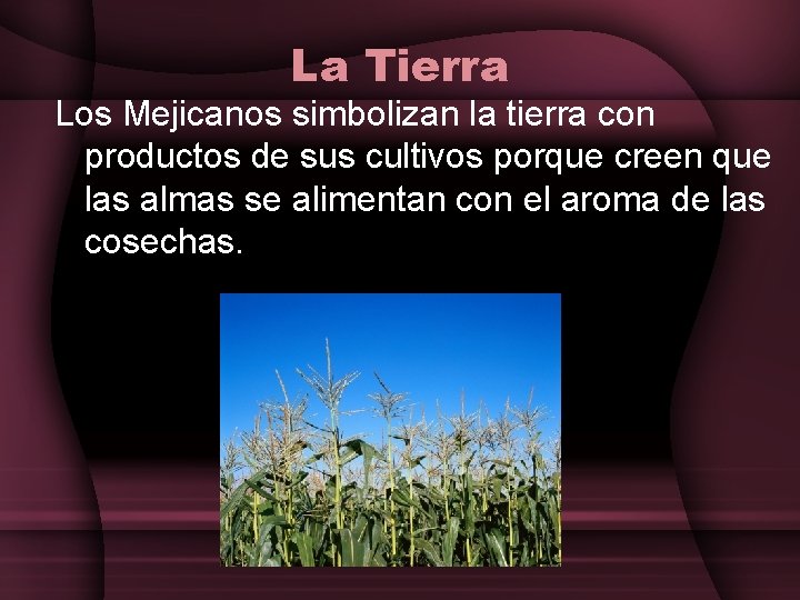 La Tierra Los Mejicanos simbolizan la tierra con productos de sus cultivos porque creen