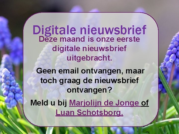 Digitale nieuwsbrief Deze maand is onze eerste digitale nieuwsbrief uitgebracht. Geen email ontvangen, maar