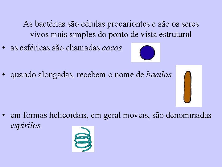 As bactérias são células procariontes e são os seres vivos mais simples do ponto