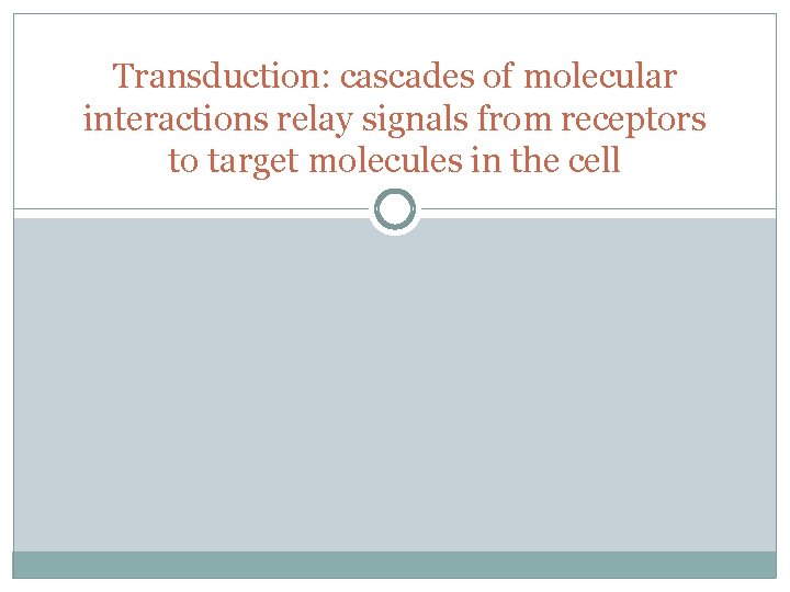 Transduction: cascades of molecular interactions relay signals from receptors to target molecules in the