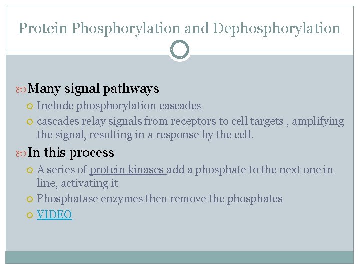 Protein Phosphorylation and Dephosphorylation Many signal pathways Include phosphorylation cascades relay signals from receptors