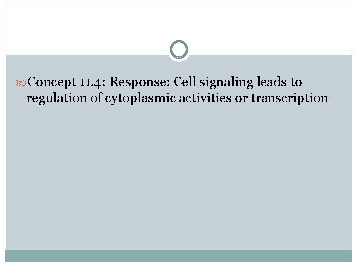  Concept 11. 4: Response: Cell signaling leads to regulation of cytoplasmic activities or