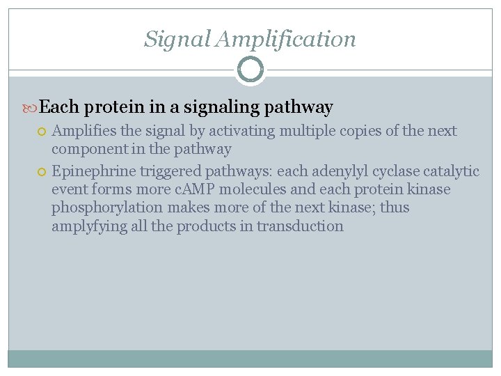 Signal Amplification Each protein in a signaling pathway Amplifies the signal by activating multiple