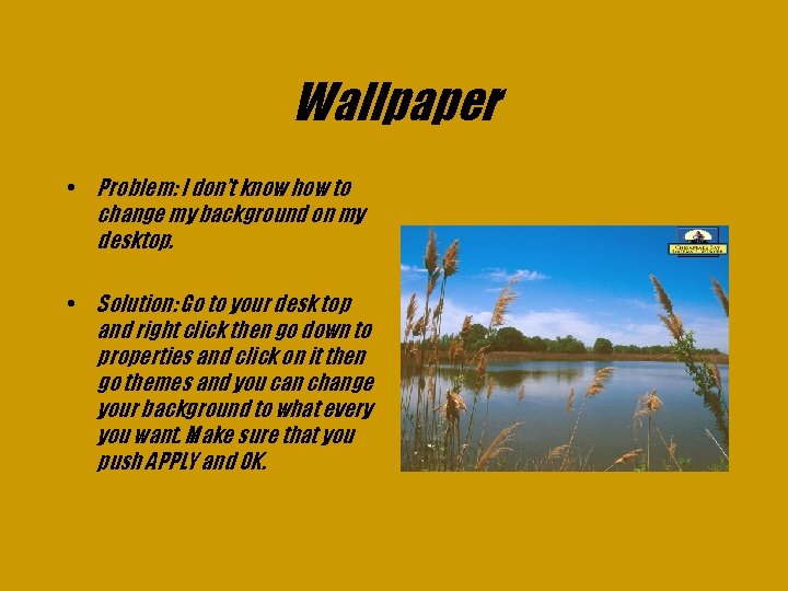 Wallpaper • Problem: I don’t know how to change my background on my desktop.