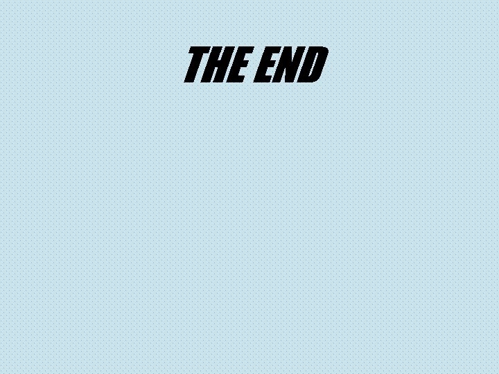 THE END 