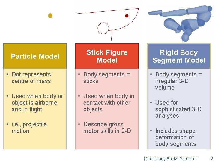 Particle Model Stick Figure Model • Dot represents centre of mass • Body segments