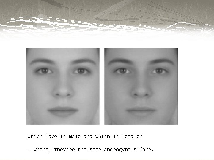 Which face is male and which is female? … wrong, they’re the same androgynous