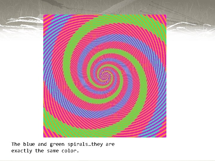 The blue and green spirals…they are exactly the same color. 