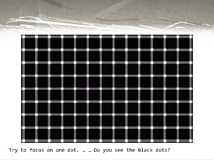 Try to focus on one dot. … … Do you see the black dots?