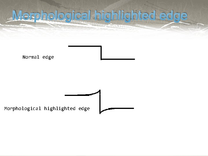 Morphological highlighted edge Normal edge Morphological highlighted edge 