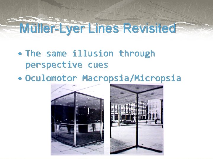Müller-Lyer Lines Revisited • The same illusion through perspective cues • Oculomotor Macropsia/Micropsia 