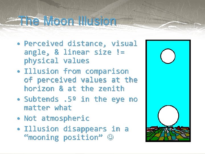 The Moon Illusion • Perceived distance, visual angle, & linear size != physical values