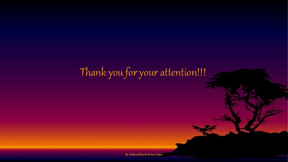 Thank you for your attention!!! By: Wildred Natalia Arroyo López 