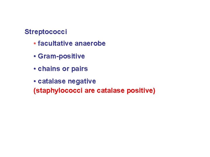 Streptococci • facultative anaerobe • Gram-positive • chains or pairs • catalase negative (staphylococci